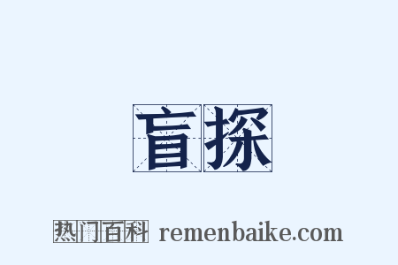 盲探是什么意思的图片